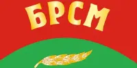Приём учащихся 9 класса в БРСМ